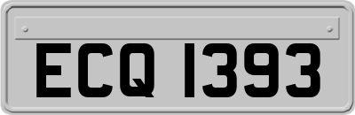 ECQ1393
