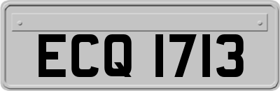 ECQ1713