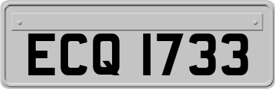 ECQ1733