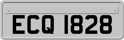 ECQ1828