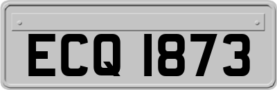 ECQ1873