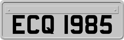 ECQ1985