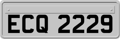 ECQ2229
