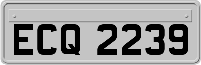 ECQ2239