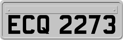 ECQ2273