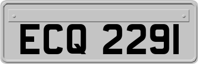 ECQ2291