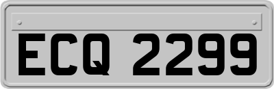 ECQ2299