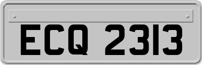 ECQ2313