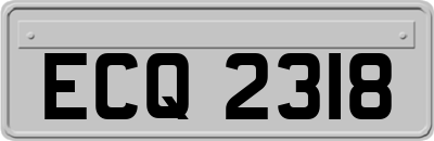 ECQ2318