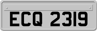 ECQ2319