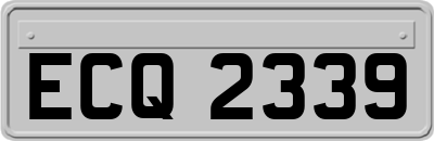 ECQ2339