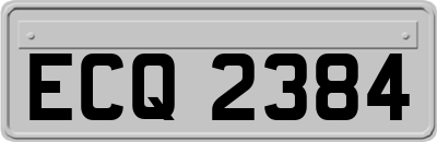 ECQ2384