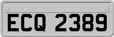 ECQ2389