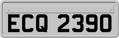 ECQ2390