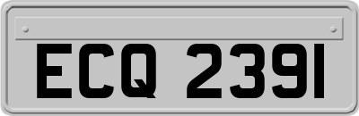 ECQ2391