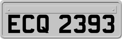 ECQ2393