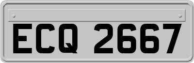 ECQ2667