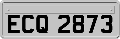 ECQ2873