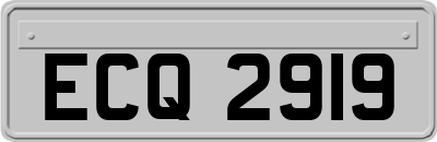ECQ2919