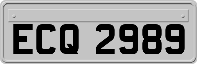 ECQ2989