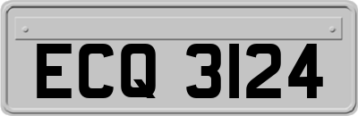 ECQ3124