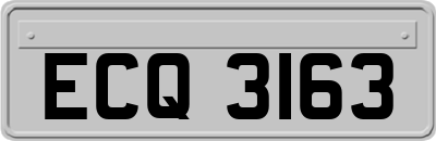ECQ3163