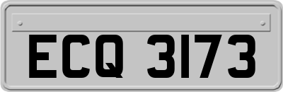 ECQ3173