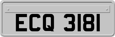 ECQ3181