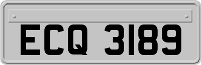ECQ3189