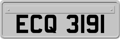 ECQ3191
