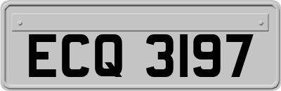 ECQ3197