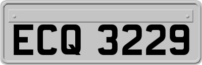 ECQ3229