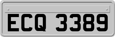 ECQ3389