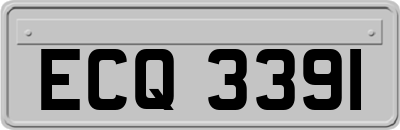 ECQ3391