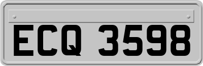 ECQ3598