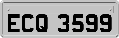 ECQ3599