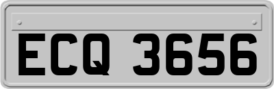 ECQ3656
