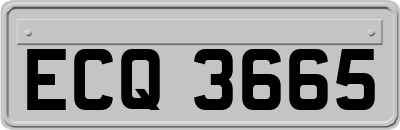 ECQ3665