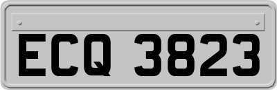 ECQ3823