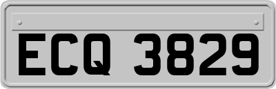 ECQ3829