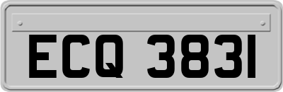 ECQ3831