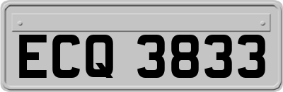 ECQ3833