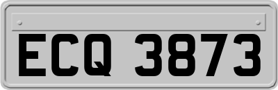 ECQ3873