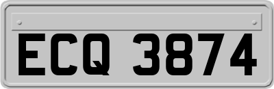 ECQ3874