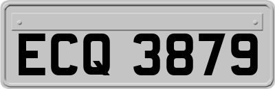 ECQ3879