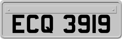 ECQ3919