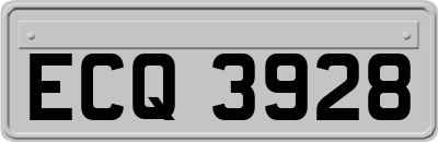 ECQ3928