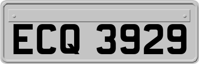ECQ3929
