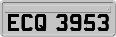ECQ3953