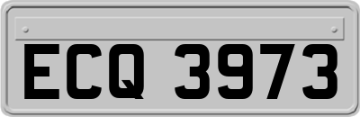 ECQ3973